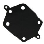 DIAPHRAGM